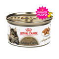 royal canin maine coon