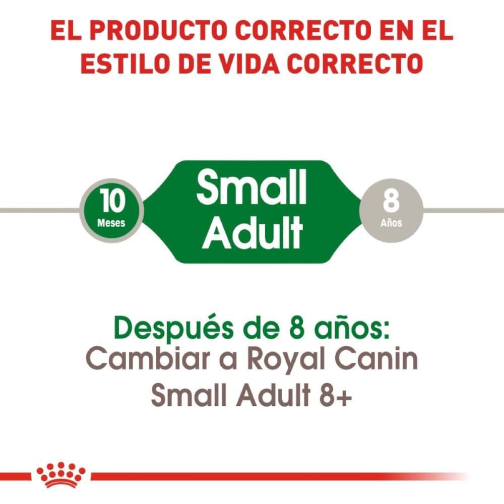 royal canin small petite