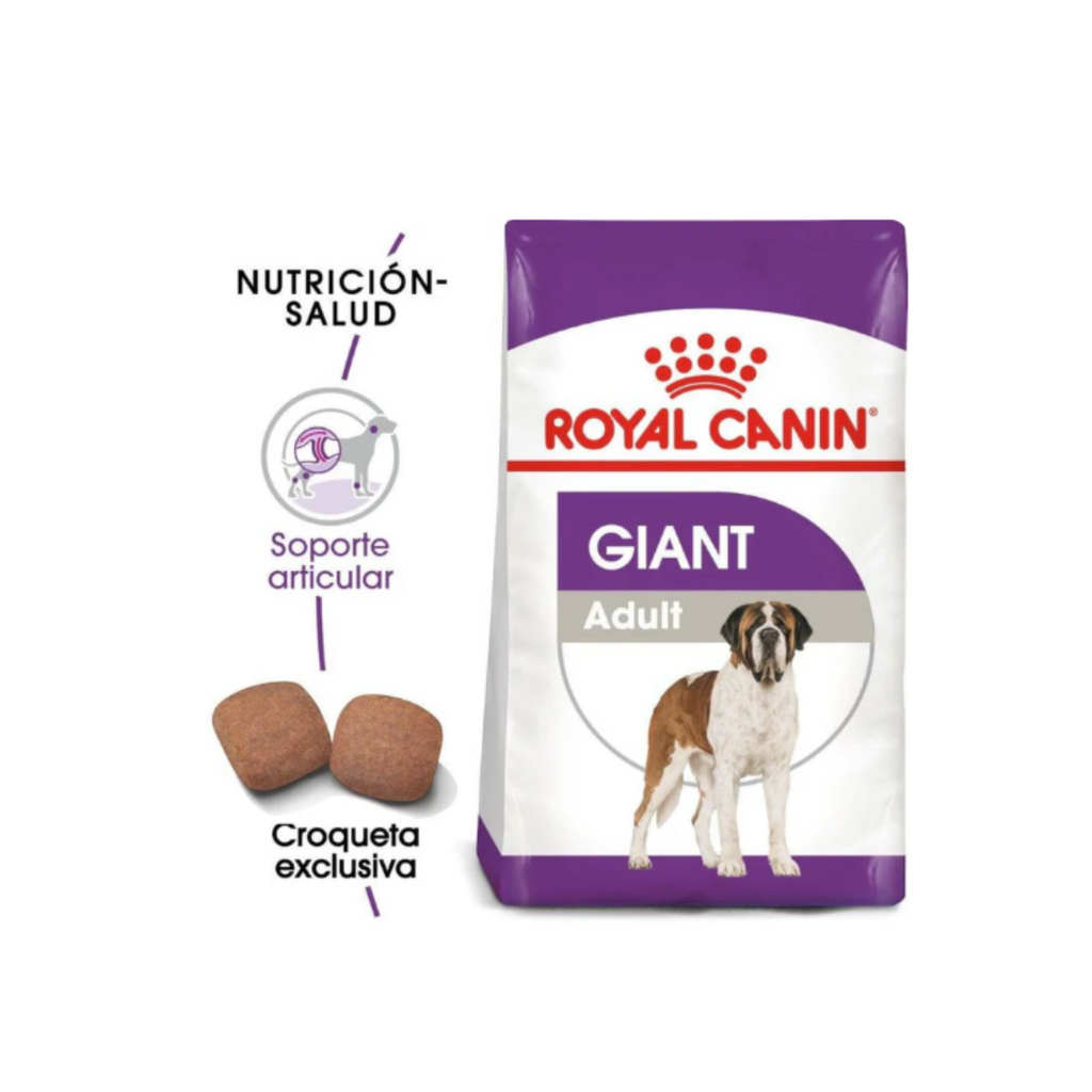 royal canin perro adulto