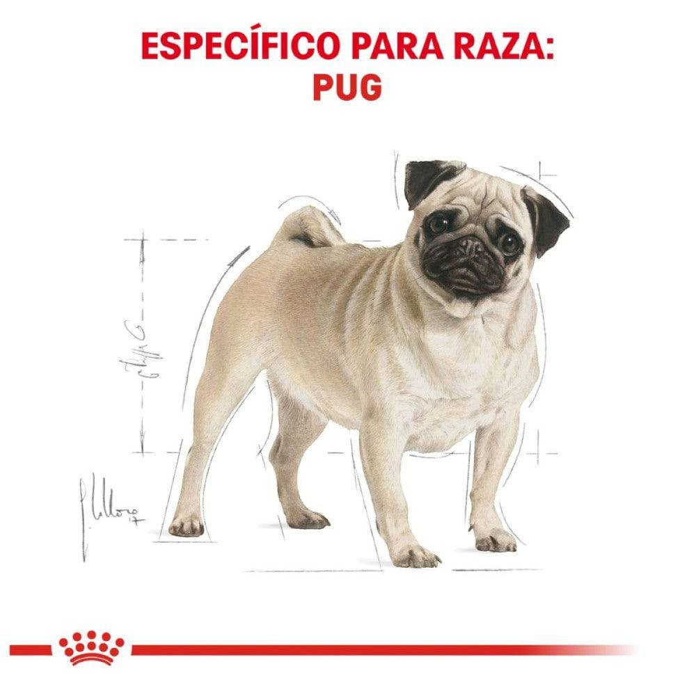 Royal Canin Pug