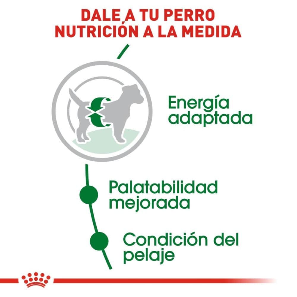 royal canin adulto raza pequeña