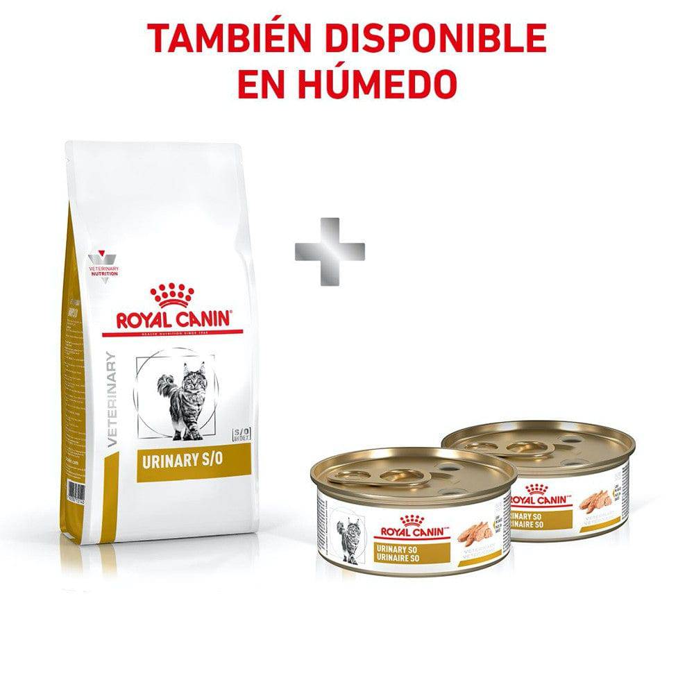 urinary royal canin gatos