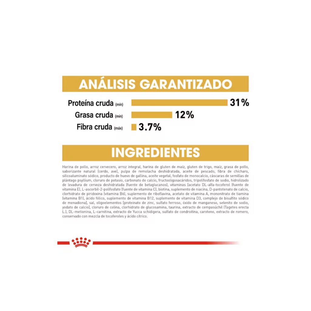 royal canin labrador