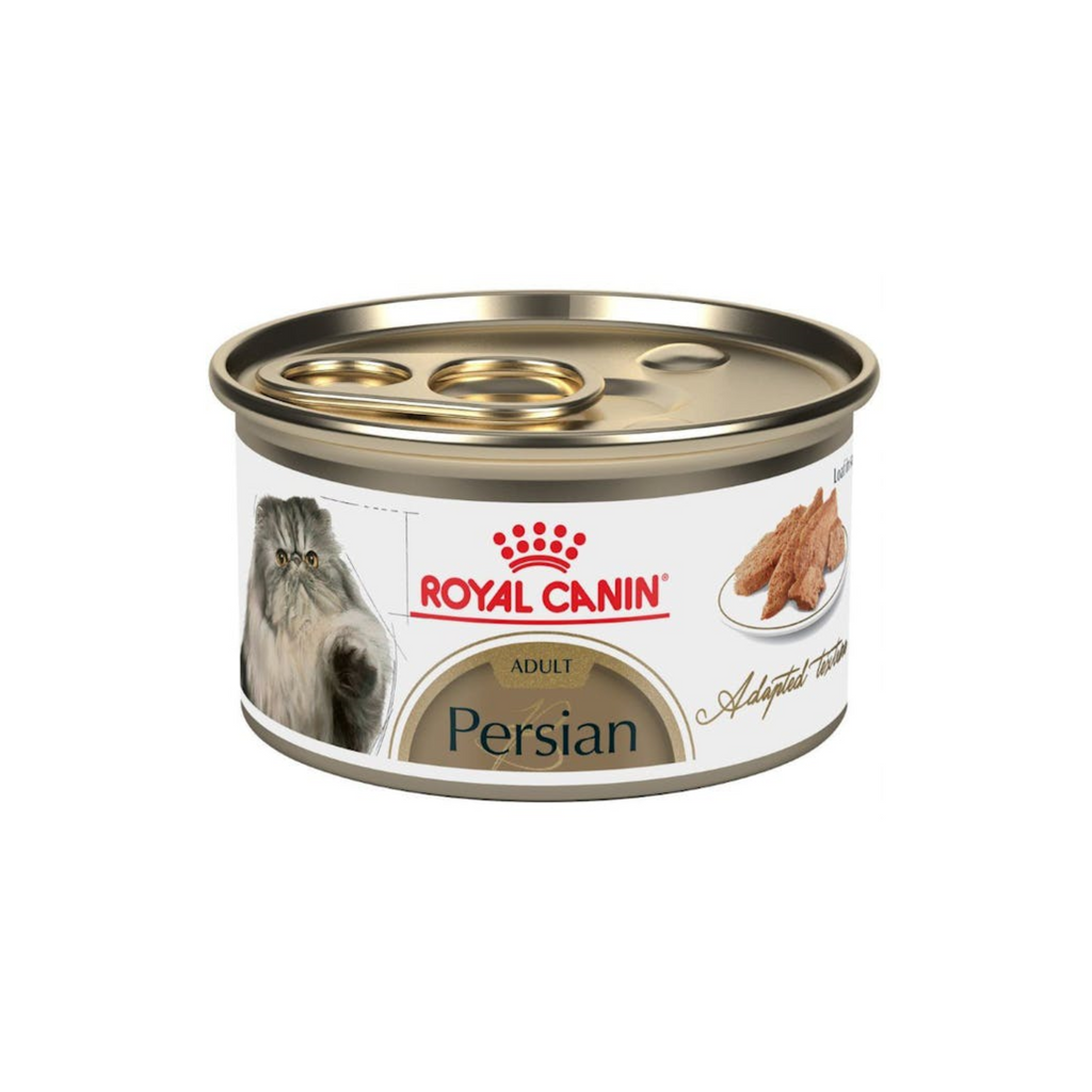 royal canin gato persa