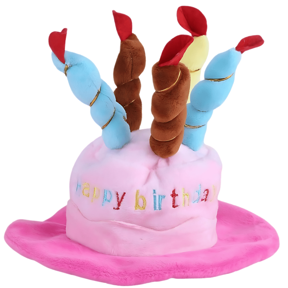 Sombrero de Cumpleaños Rosa - AniMALL