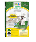 pasto entrenador para perros