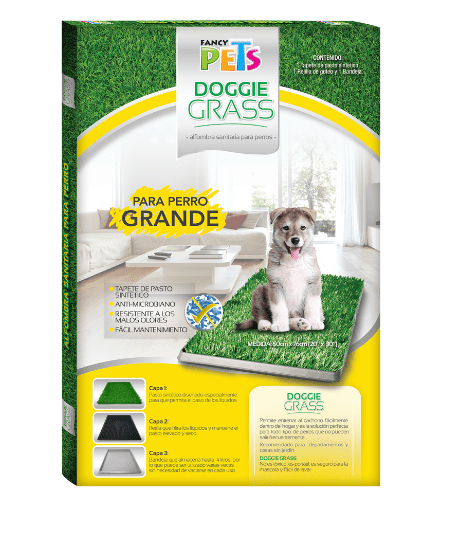 pasto entrenador para perros